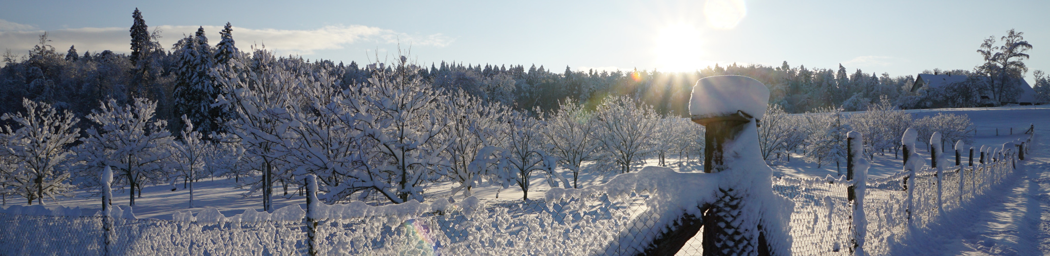 Winter 2