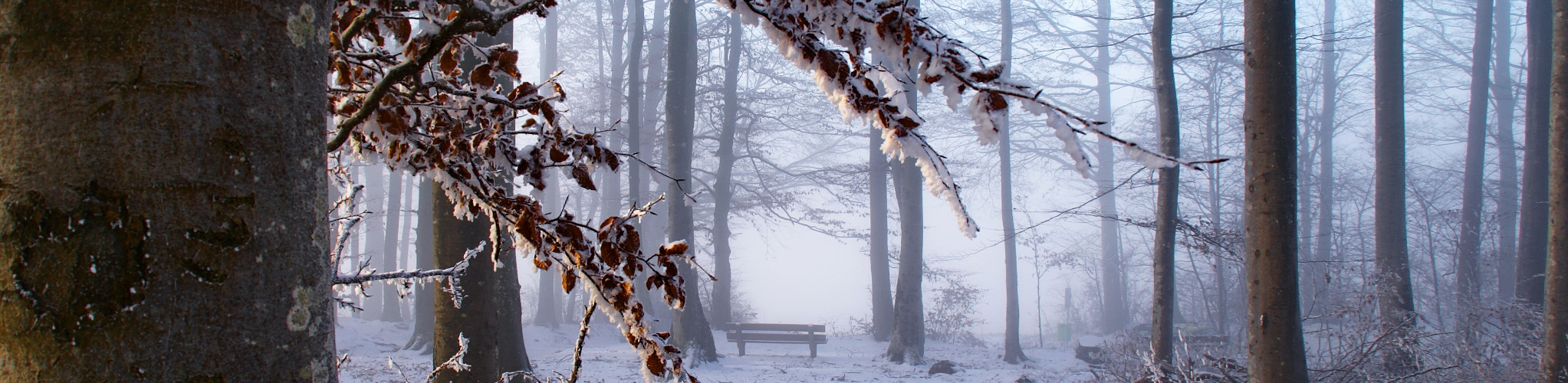 Winter 3