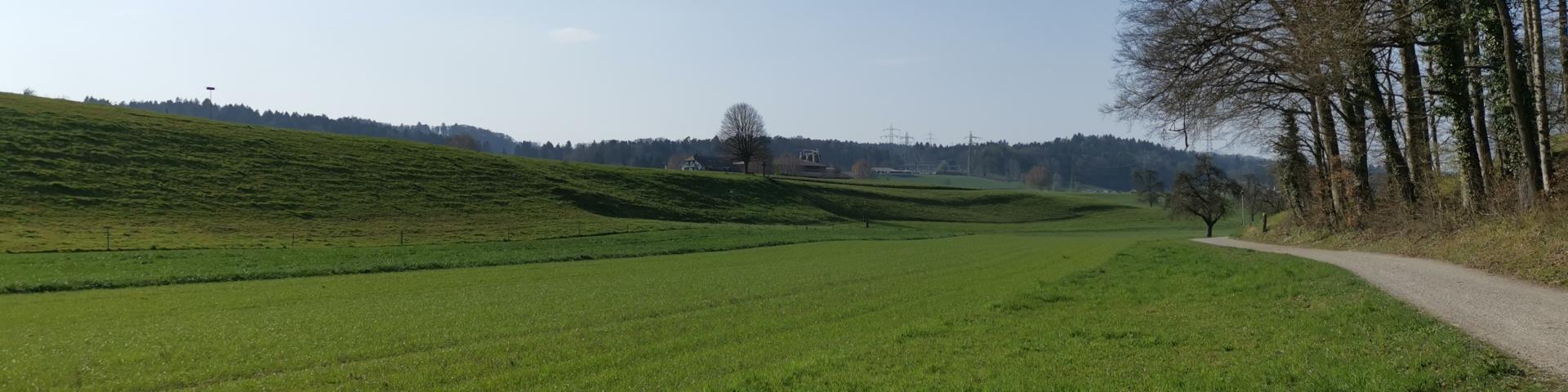 Waldweg
