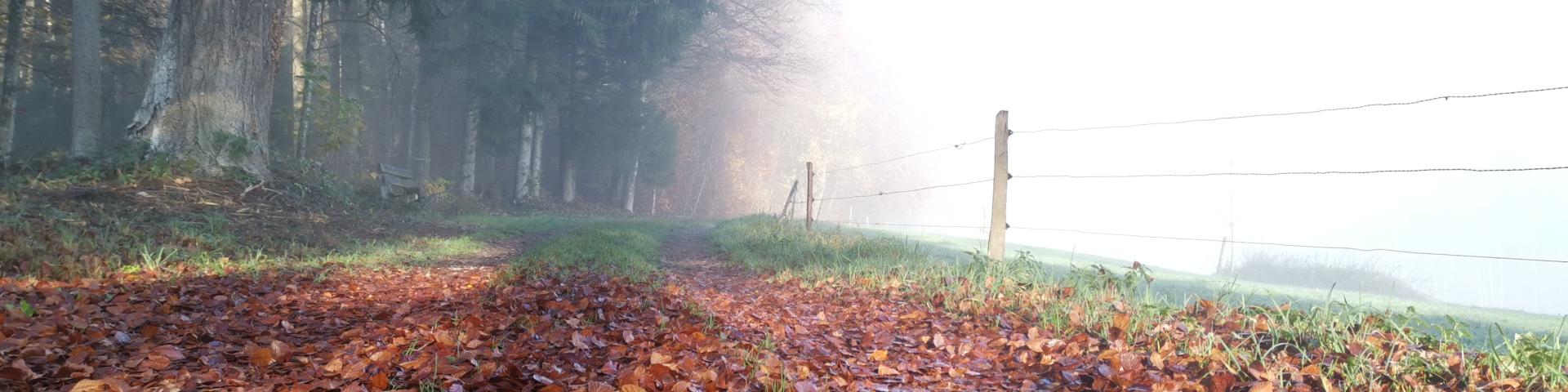 Herbstweg